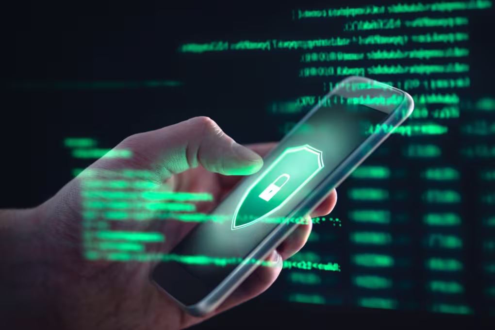 The Power of Bulk SMS Advertising in the Netherlands: Why Your Organization Ought To Invest